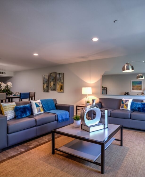 modern living room with a set of dark couches